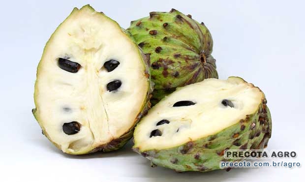 Foto de divulgação Preço Atemoia kg Ceasa Belo Horizonte Imagem de divulgação Preço Atemoia kg Ceasa Belo Horizonte